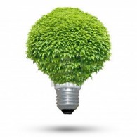 green-lightbulb1